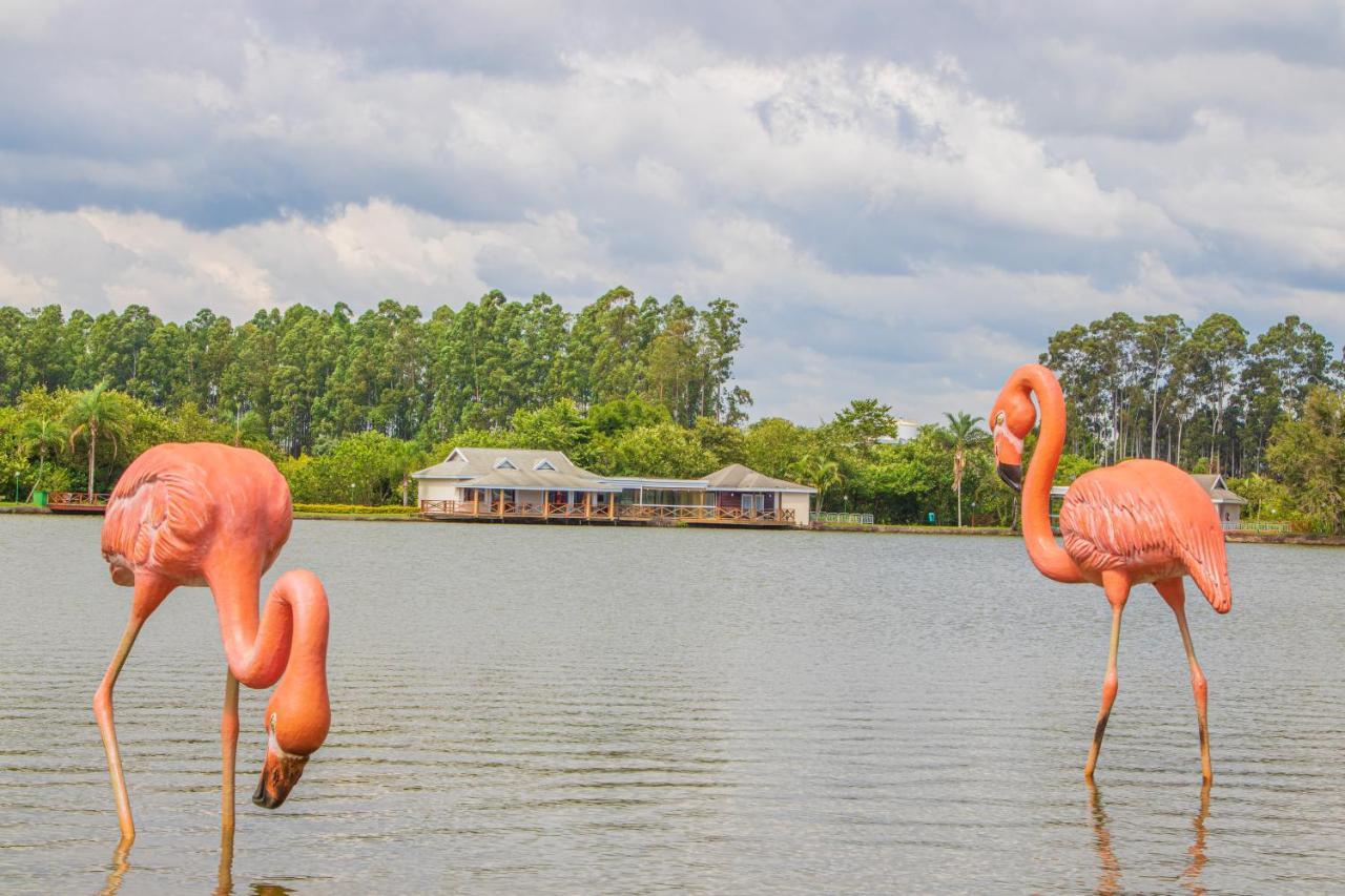 Mavsa Resort Cesário Lange Kültér fotó
